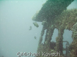The pilot house on the Ken Vitale, sunk as part of the ar... by Michael Kovach 